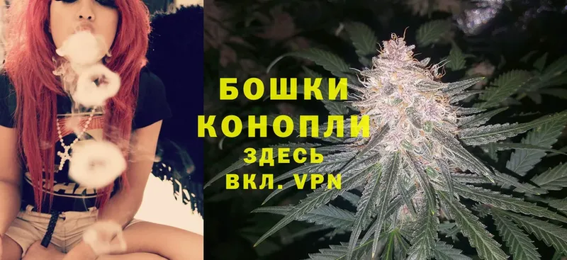 Бошки Шишки OG Kush  где продают наркотики  Западная Двина 